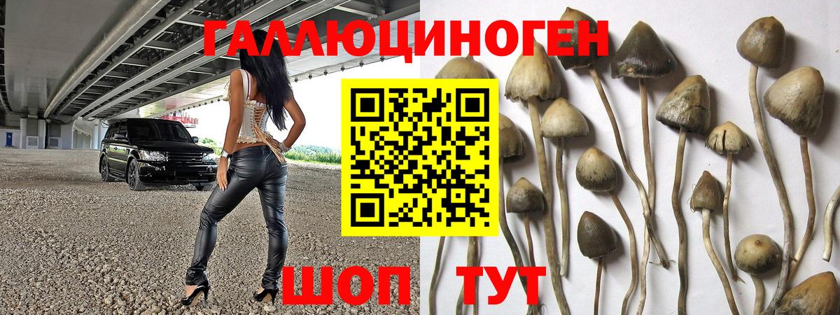 Галлюциногенные грибы Psilocybine cubensis  Вход с VPN  Галлюциногенные грибы GOLDEN TEACHER  даркнет сайт  Нововоронеж 
