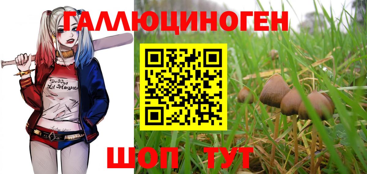 Псилоцибиновые грибы GOLDEN TEACHER Нововоронеж